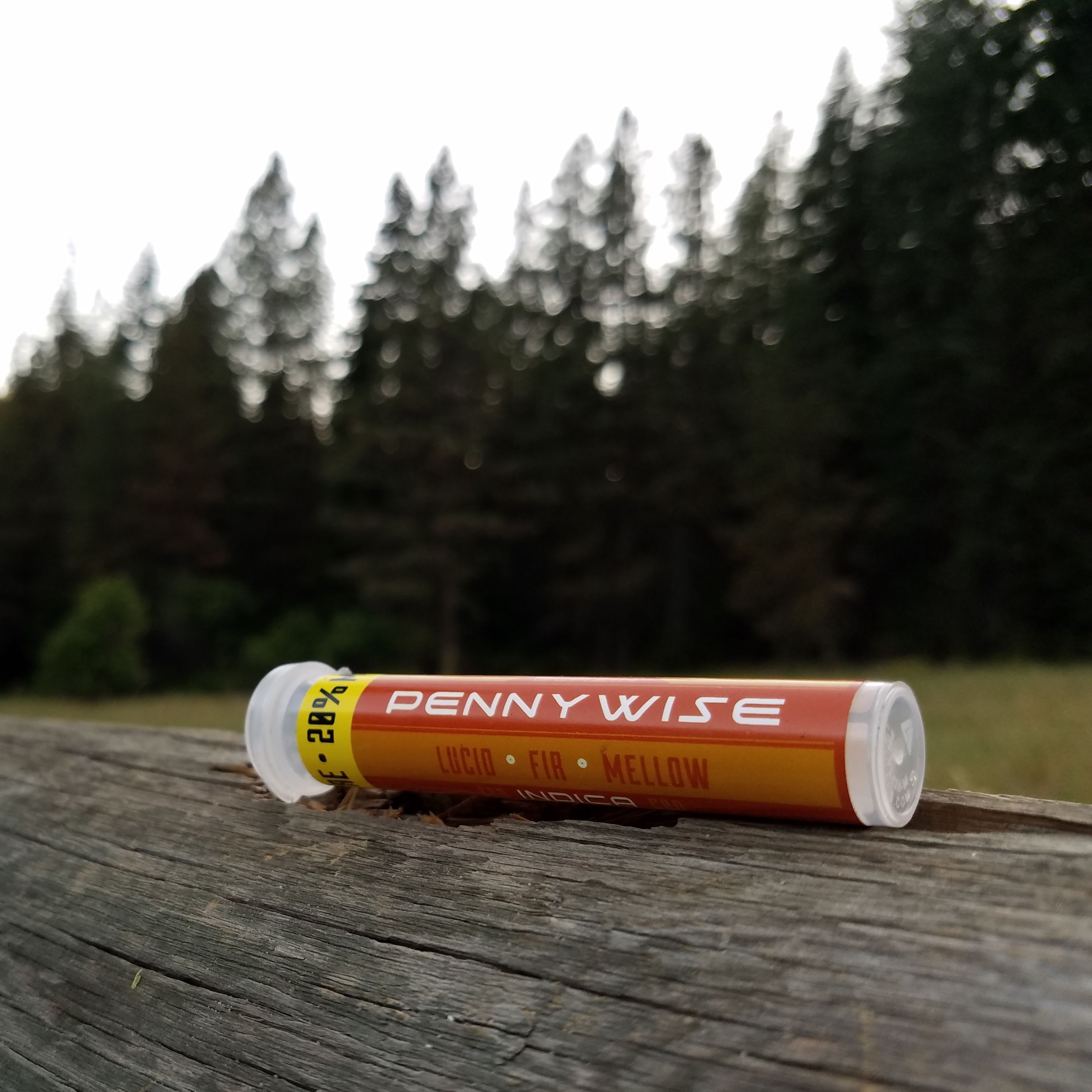 ~Trail Blazin' Pre-roll Pennywise
